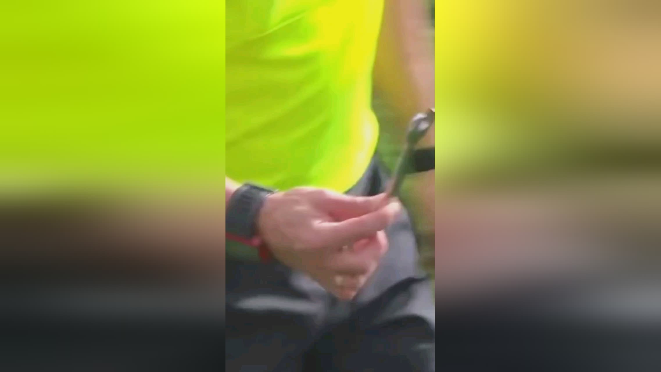 标准梅